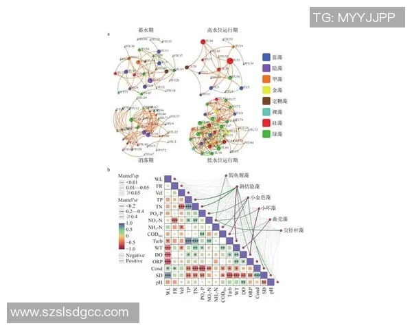 中国足球星二代背后的关系网络与成长之路解析