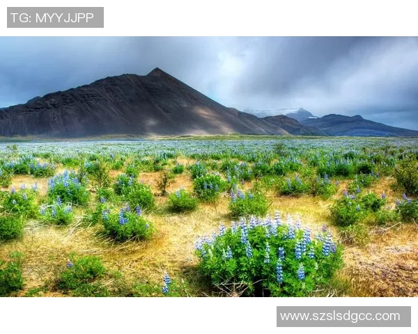 四大足球巨星经典壁纸合集 精选高清美图展示球场传奇风采