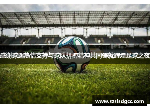 感谢球迷热情支持与球队拼搏精神共同铸就辉煌足球之夜