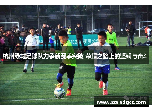 杭州绿城足球队力争新赛季突破 荣耀之路上的坚韧与奋斗